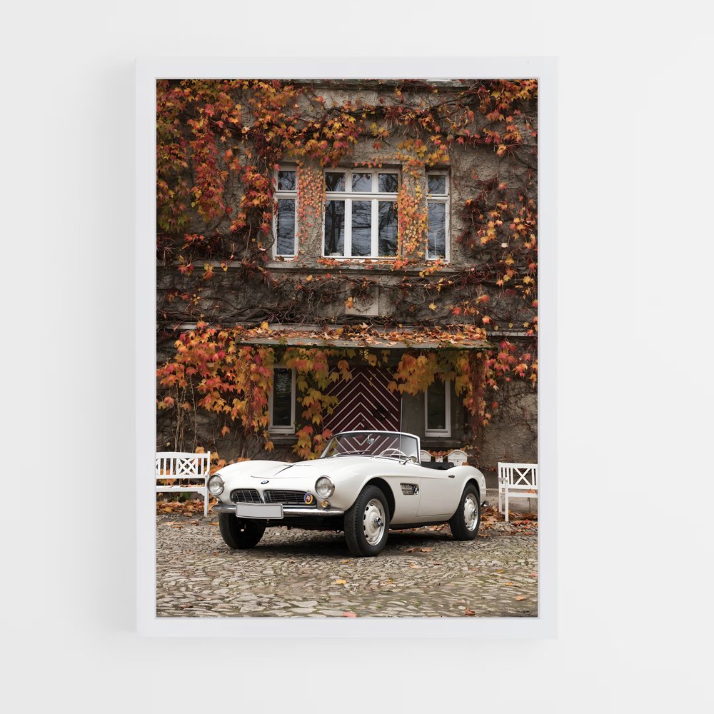 ap-507-1 cadre Blanc