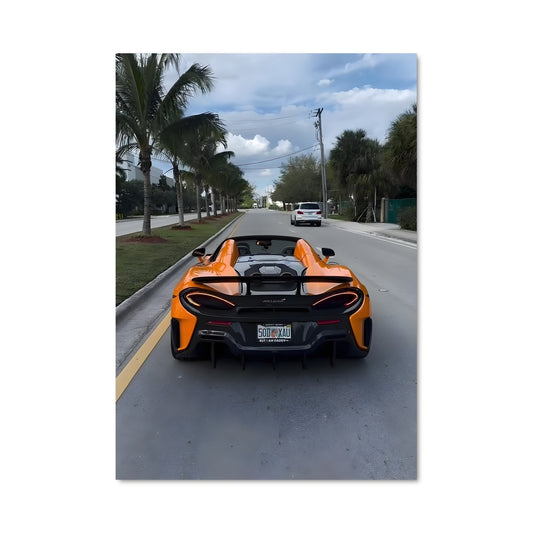 Poster 600lt spider 78477