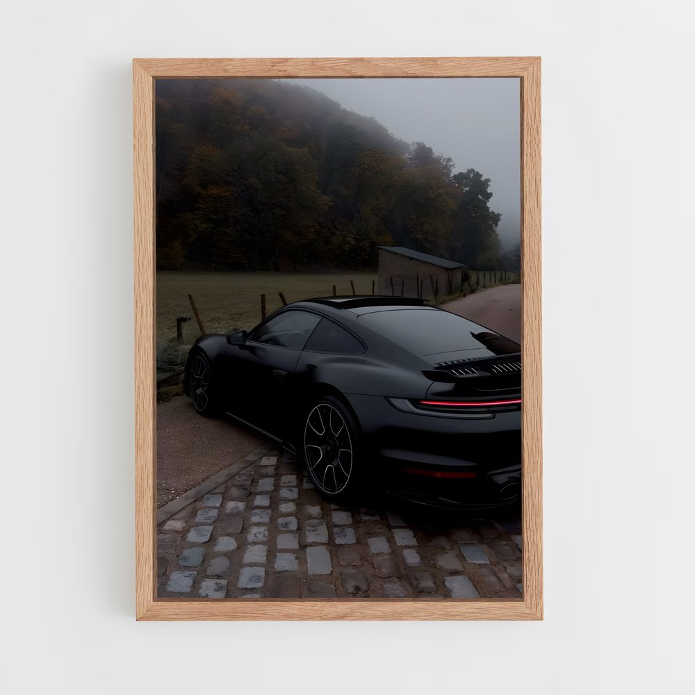 ap-911 carrera-3 cadre Bois clair