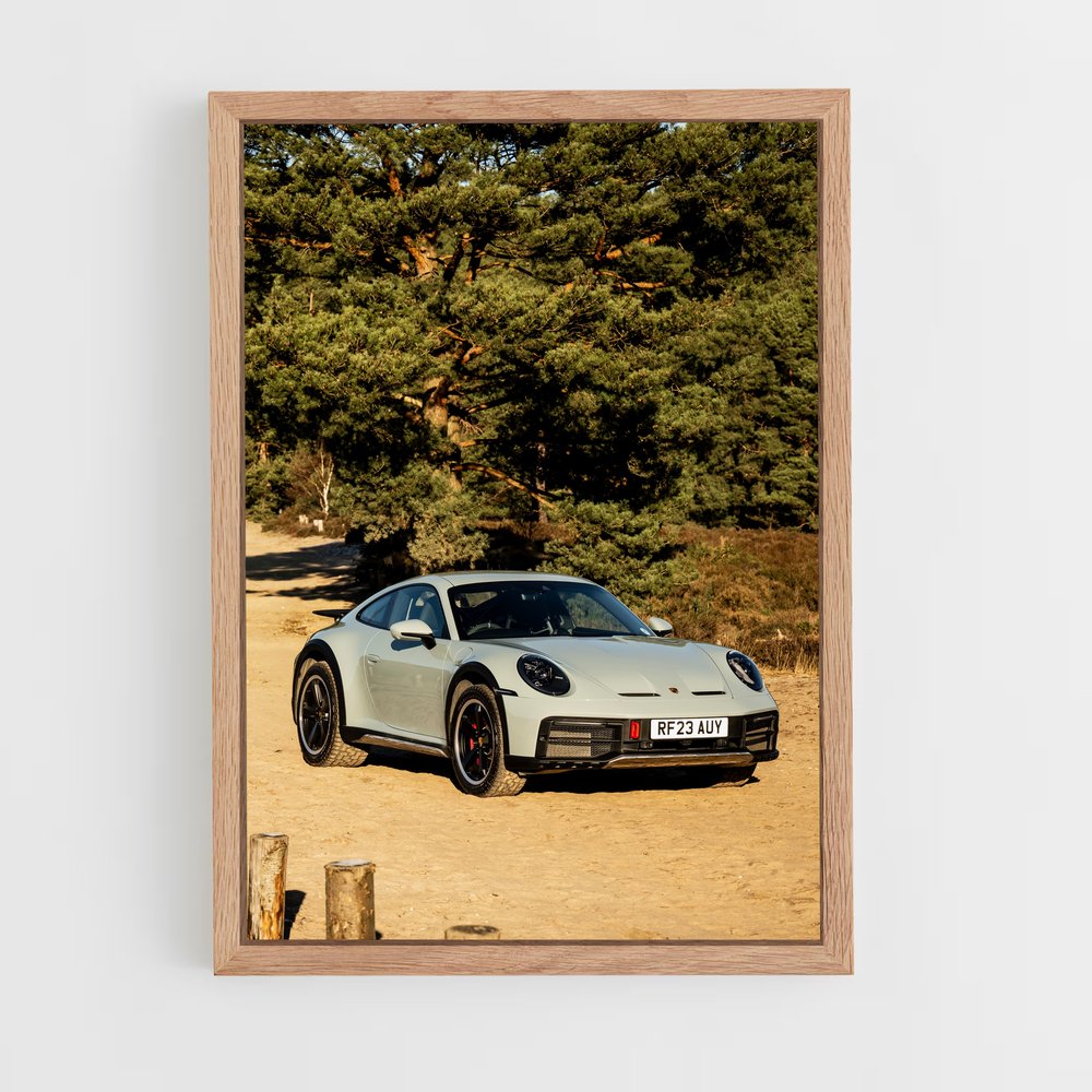 ap-911 dakar-6 cadre Bois clair