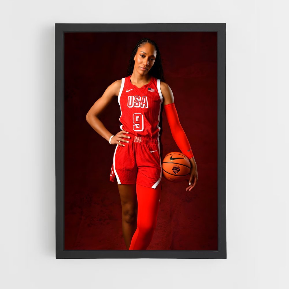 ap-a'ja wilson-4 cadre Noir