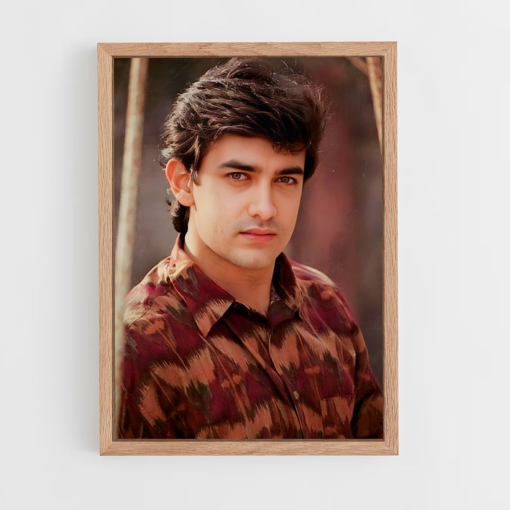 ap-aamir khan-6 cadre Bois clair