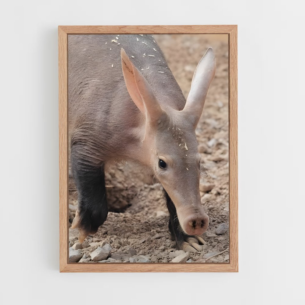 ap-aardvark-3 cadre Bois clair