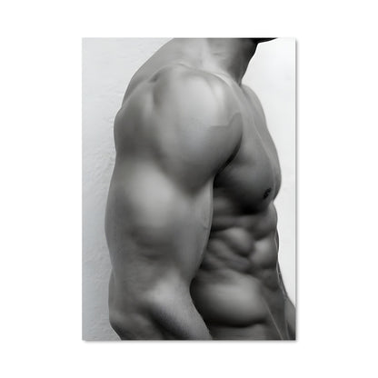 Poster Muscles en Vue