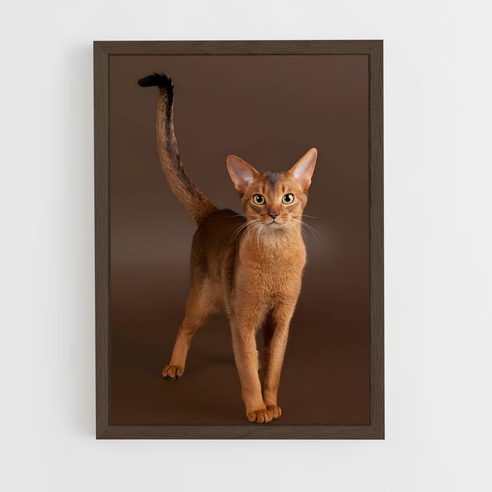 ap-abyssinian-2 cadre Bois foncé