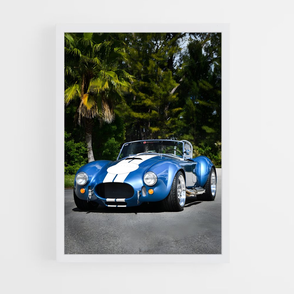 ap-ac cobra-1 cadre Blanc