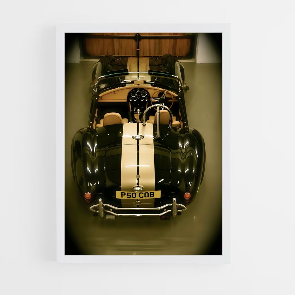 ap-ac cobra-5 cadre Blanc