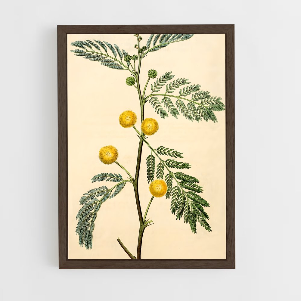 ap-acacia-1 cadre Bois foncé