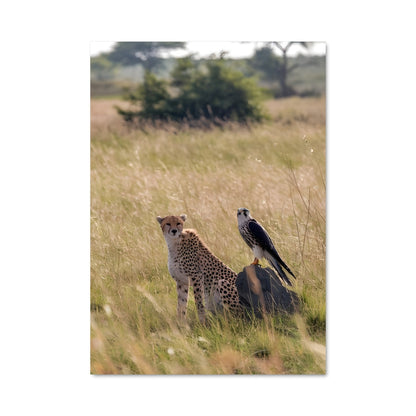 Poster Acacia trees 97552