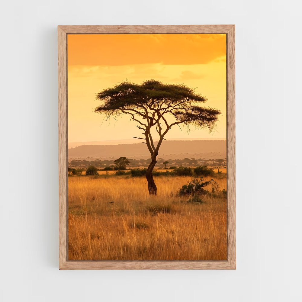 ap-acacia trees-1 cadre Bois clair