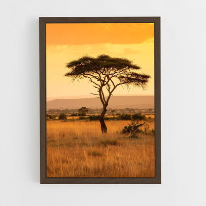 ap-acacia trees-1 cadre Bois foncé