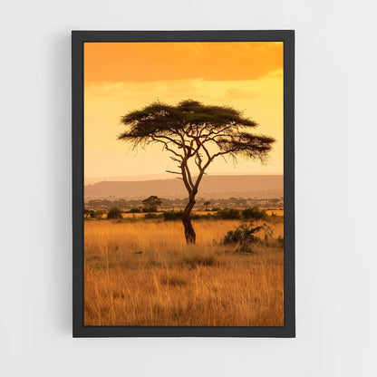 ap-acacia trees-1 cadre Noir