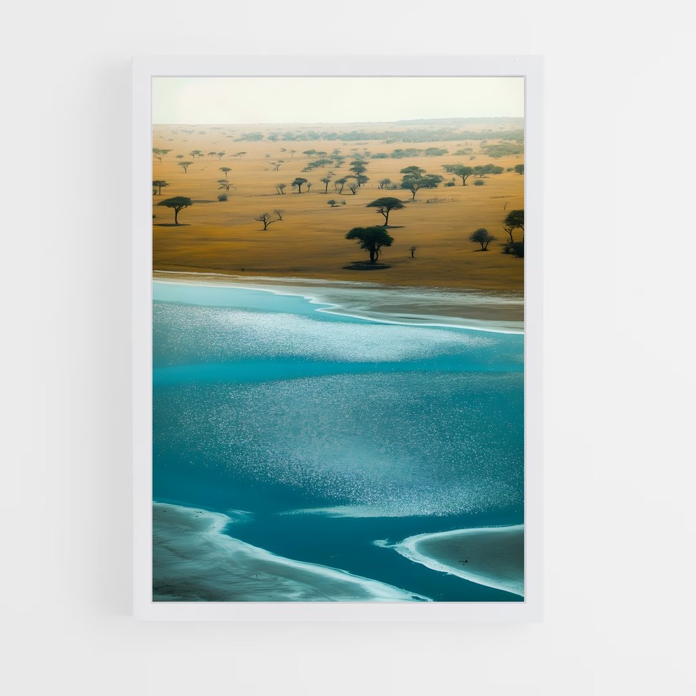ap-acacia trees-4 cadre Blanc