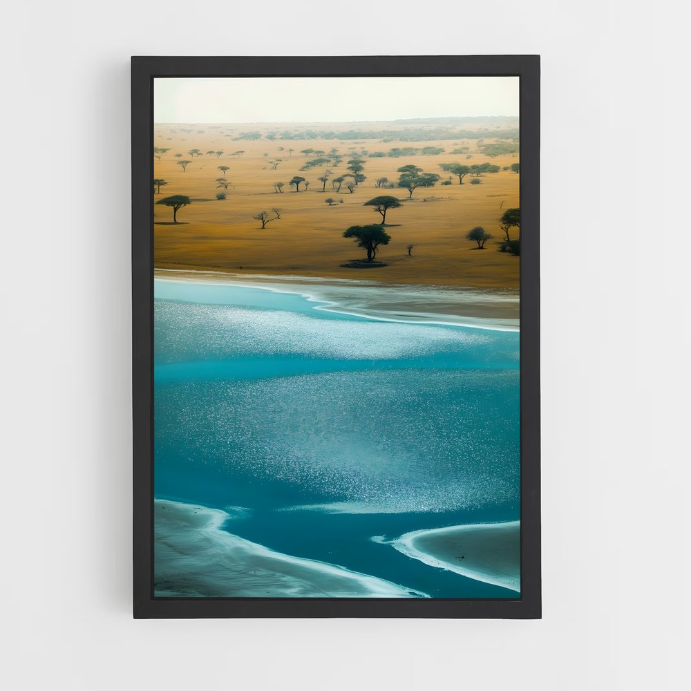 ap-acacia trees-4 cadre Noir
