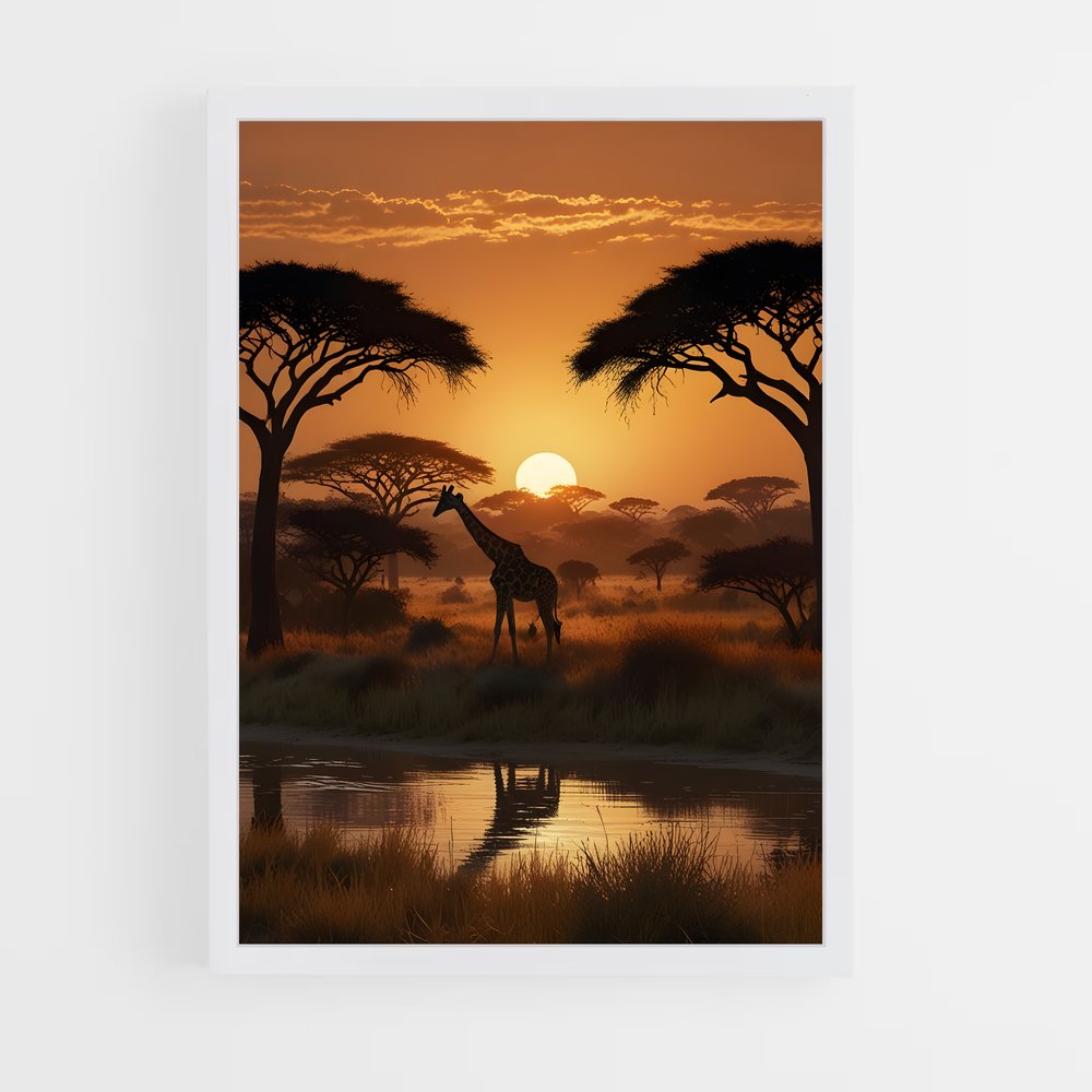ap-acacia trees-6 cadre Blanc