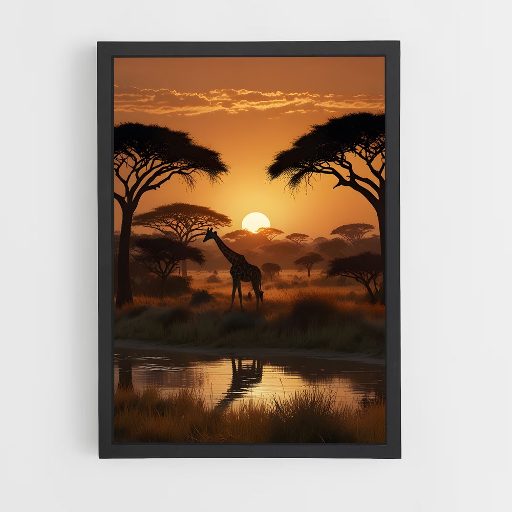 ap-acacia trees-6 cadre Noir
