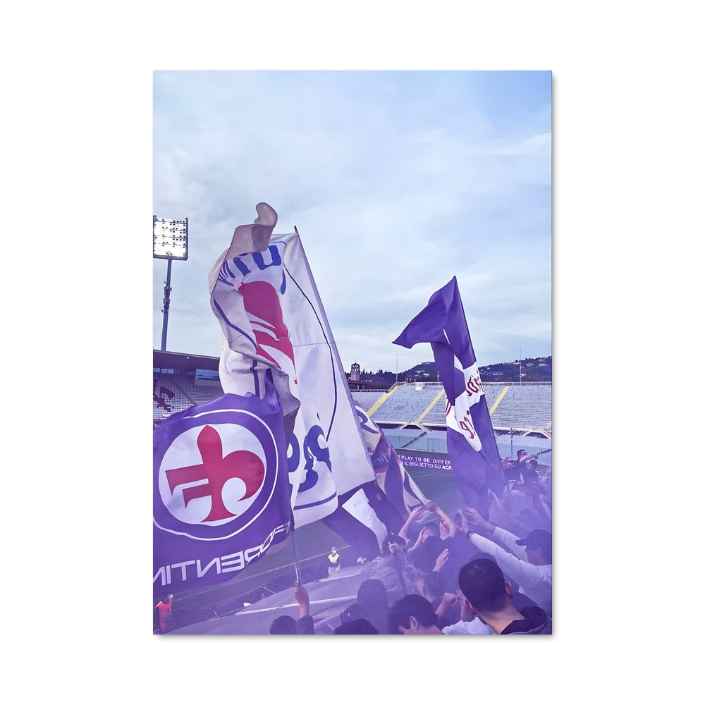 Poster La Fierté Viola