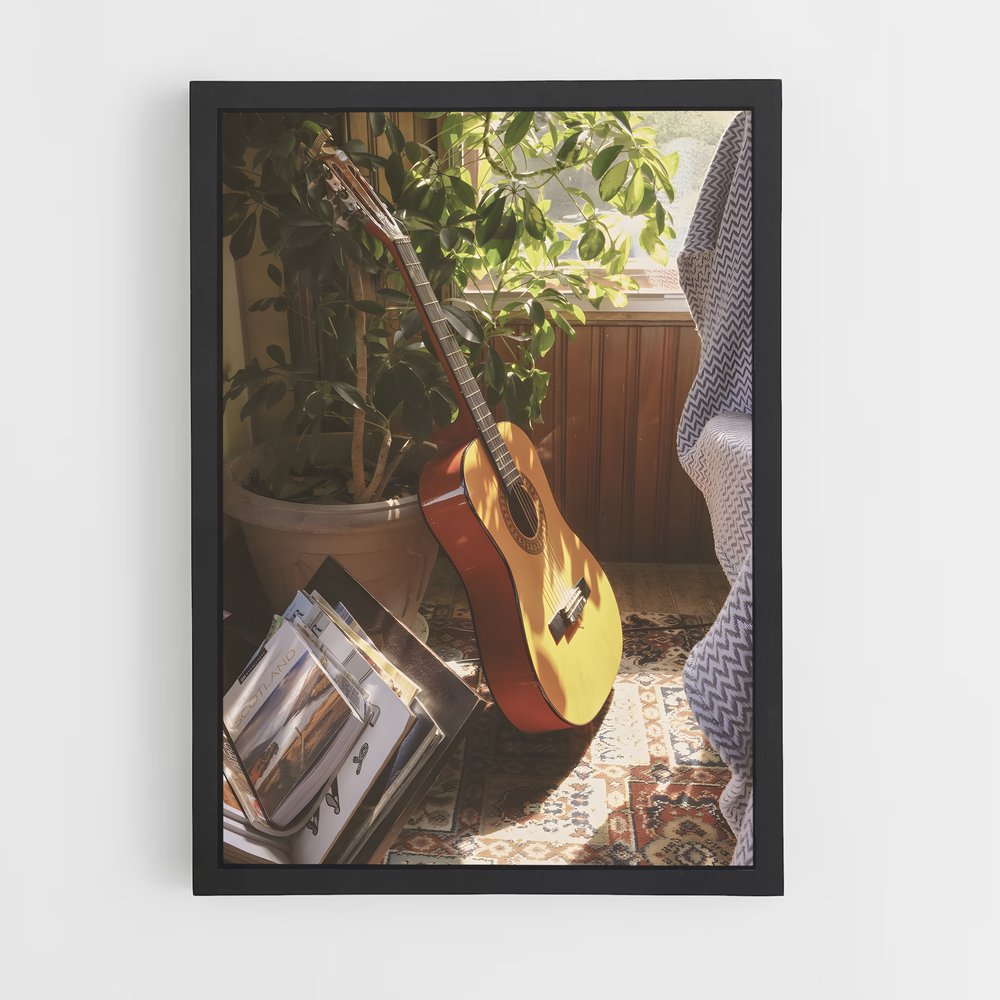 ap-acoustic guitar-1 cadre Noir