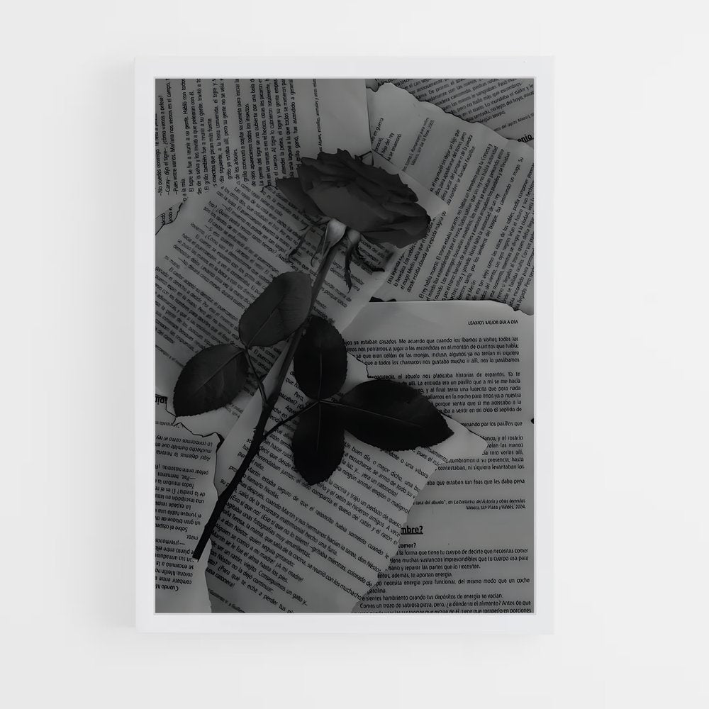 ap-aesthetics-3 cadre Blanc