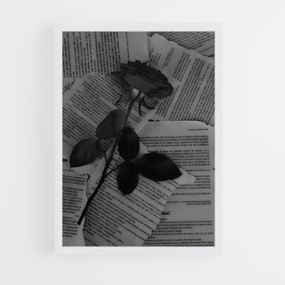 ap-aesthetics-3 cadre Blanc