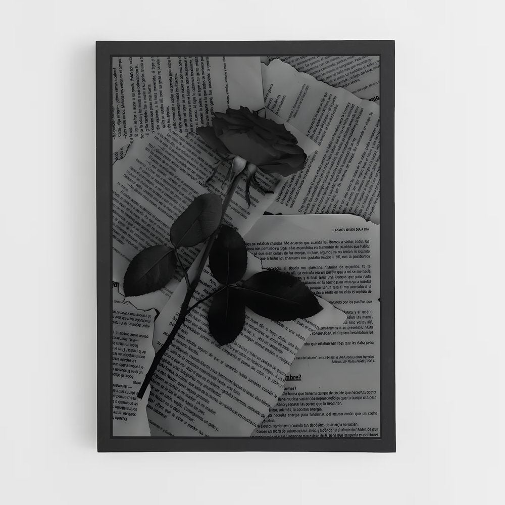 ap-aesthetics-3 cadre Noir