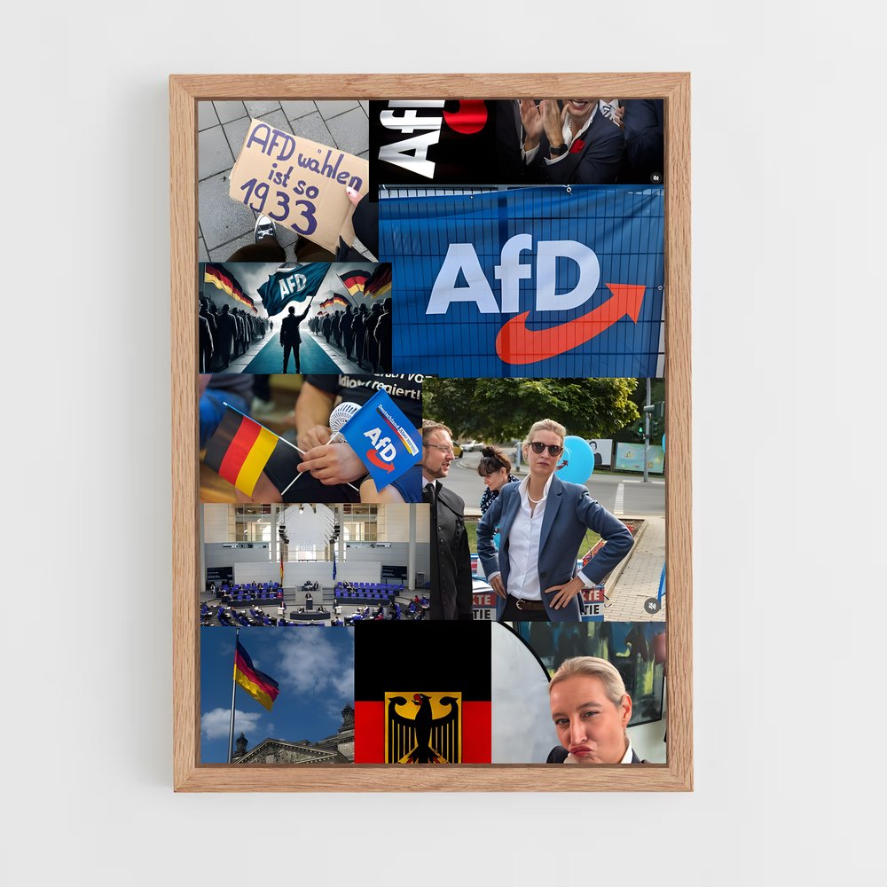 ap-afd germany-1 cadre Bois clair