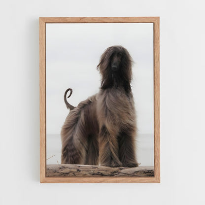 ap-afghan hound-3 cadre Bois clair