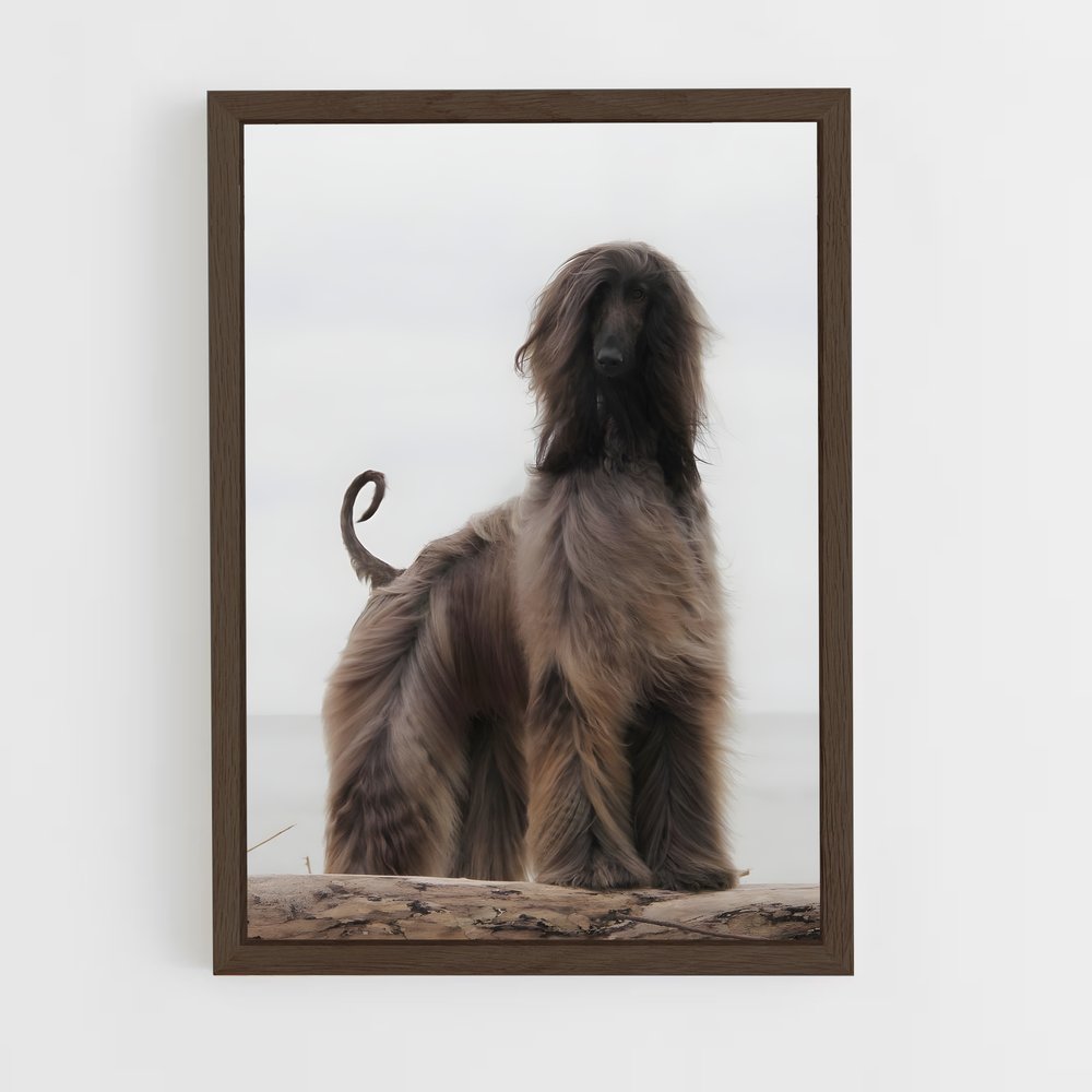 ap-afghan hound-3 cadre Bois foncé