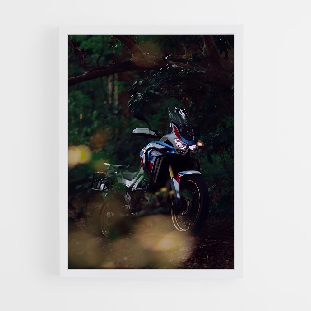 ap-africa twin crf1100l-3 cadre Blanc