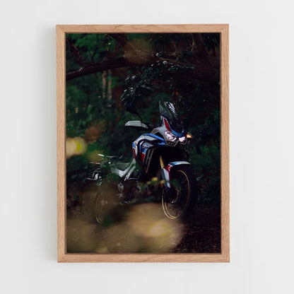 ap-africa twin crf1100l-3 cadre Bois clair