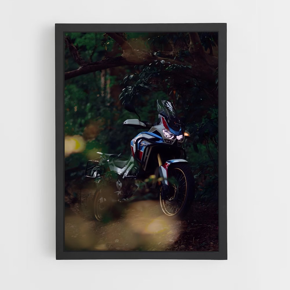 ap-africa twin crf1100l-3 cadre Noir