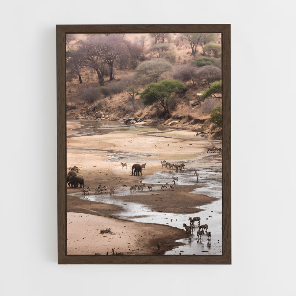 ap-african savanna-4 cadre Bois foncé