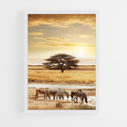 ap-african savanna-5 cadre Blanc