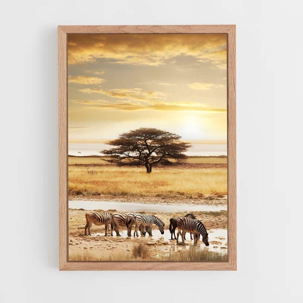 ap-african savanna-5 cadre Bois clair