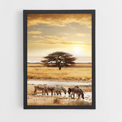 ap-african savanna-5 cadre Noir