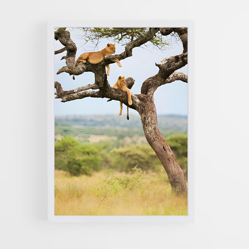 ap-african savanna-6 cadre Blanc