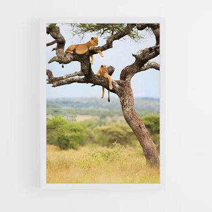 ap-african savanna-6 cadre Blanc