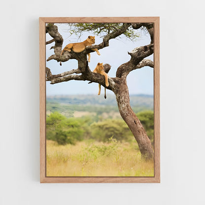 ap-african savanna-6 cadre Bois clair