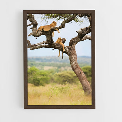ap-african savanna-6 cadre Bois foncé
