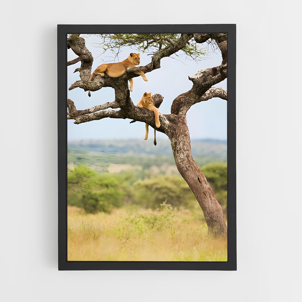 ap-african savanna-6 cadre Noir
