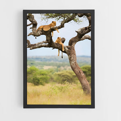 ap-african savanna-6 cadre Noir