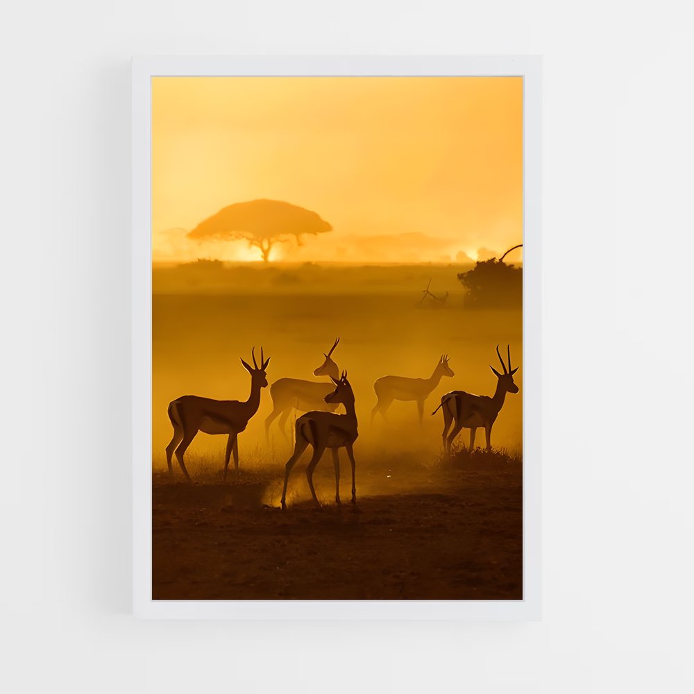 ap-african savanna-8 cadre Blanc