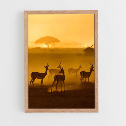 ap-african savanna-8 cadre Bois clair