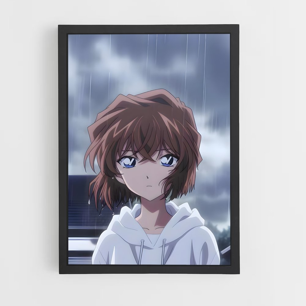 ap-ai haibara-4 cadre Noir