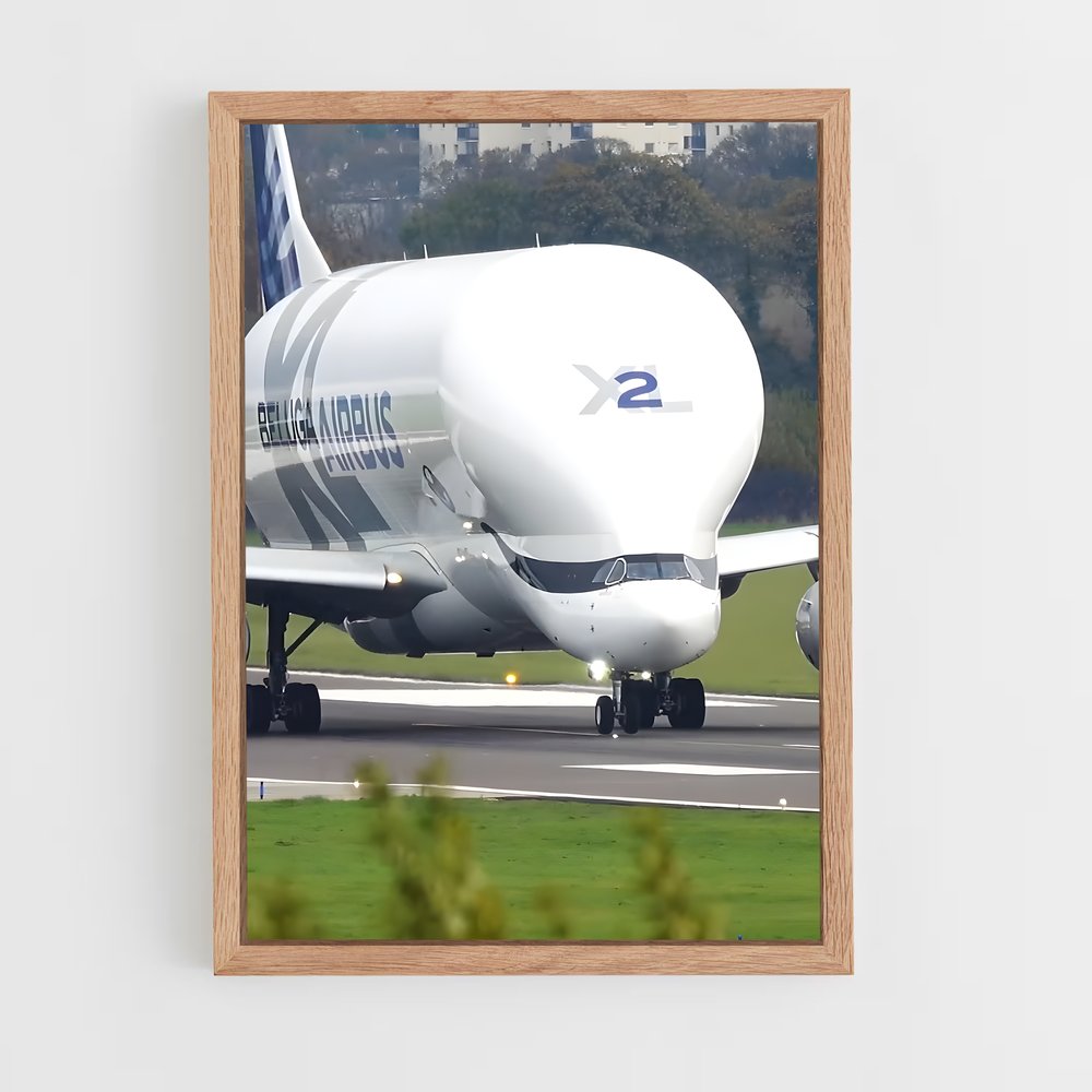 ap-airbus beluga-1 cadre Bois clair