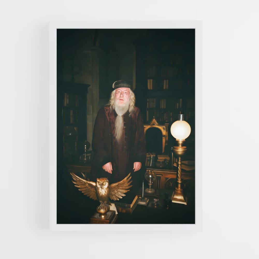 ap-albus dumbledore-7 cadre Blanc
