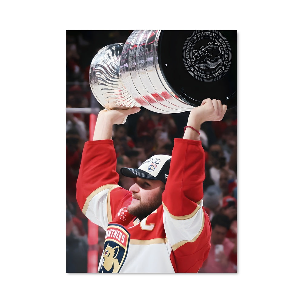 Poster Aleksander barkov 73942