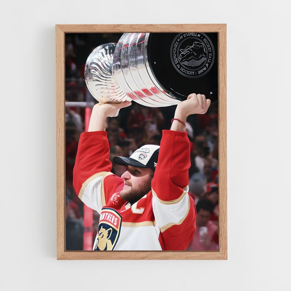 ap-aleksander barkov-5 cadre Bois clair