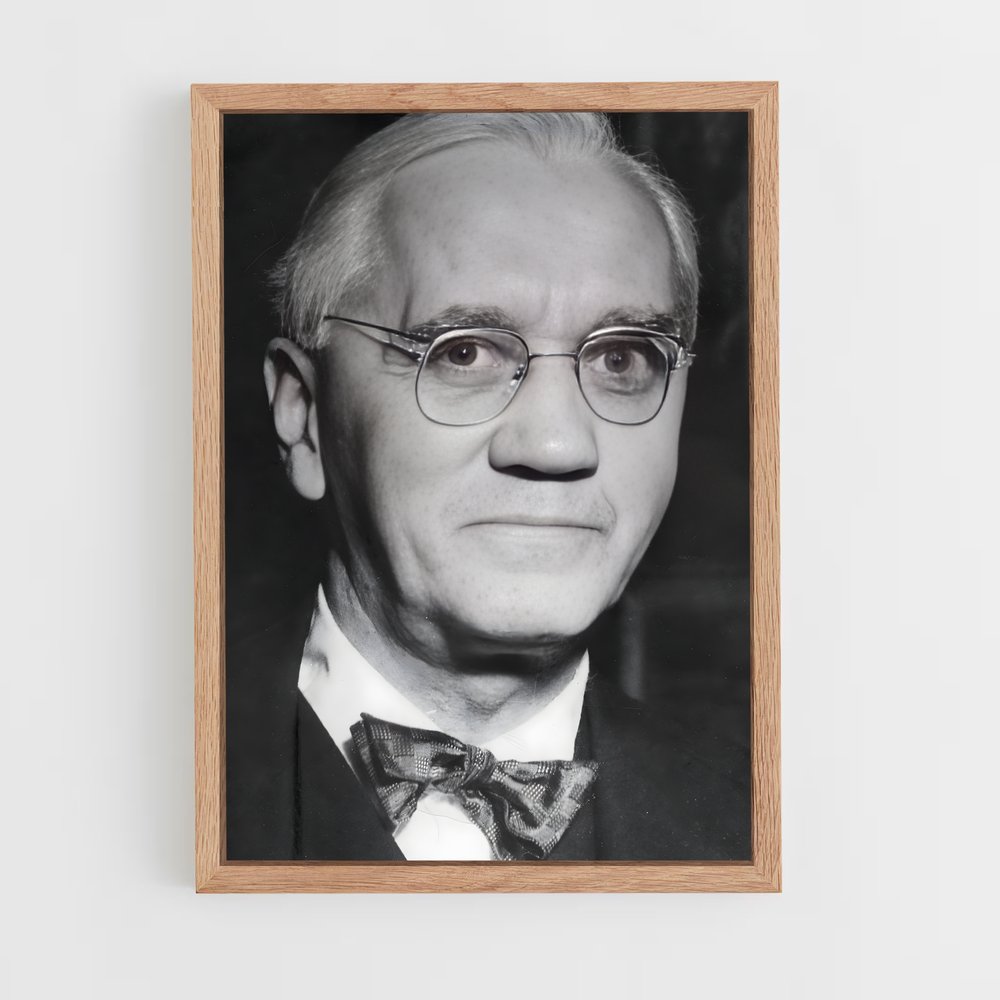 ap-alexander fleming-2 cadre Bois clair