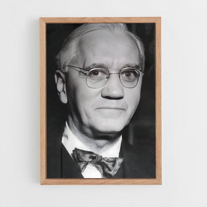 ap-alexander fleming-2 cadre Bois clair